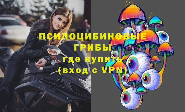 дурь Каменногорск