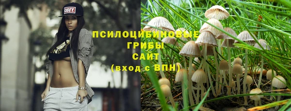 дурь Каменногорск